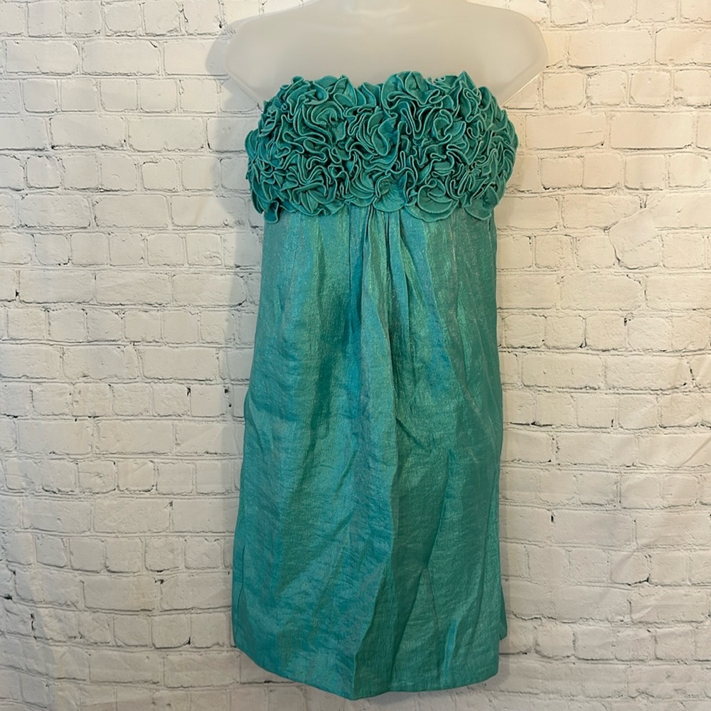 Alexia Admor gorgeous light green shimmery dress NWT